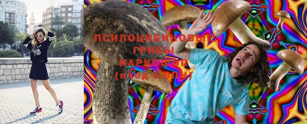 apvp Нягань