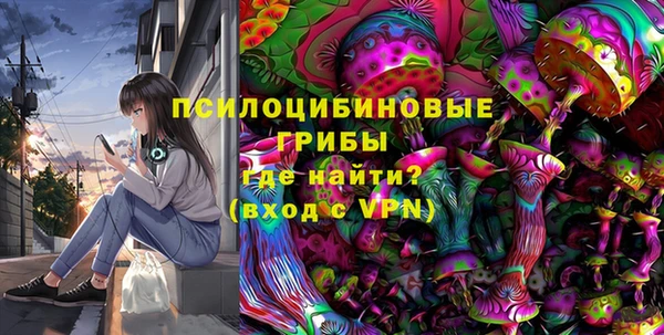 spice Няндома