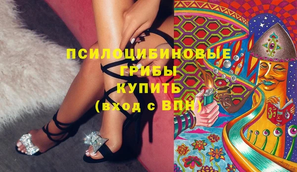 ГАЛЛЮЦИНОГЕННЫЕ ГРИБЫ Нязепетровск