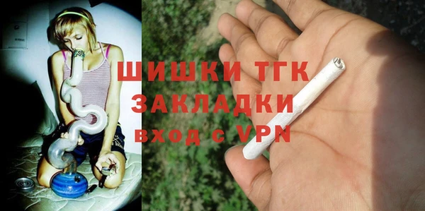 spice Няндома