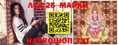 гашик Гусев