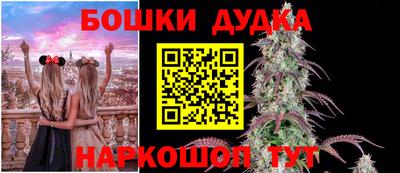 Альфа ПВП Гусиноозёрск
