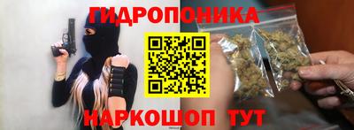 гашик Гусев