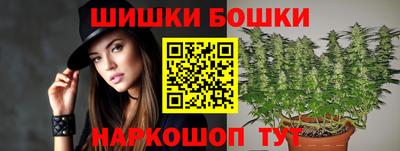 гашик Гусев