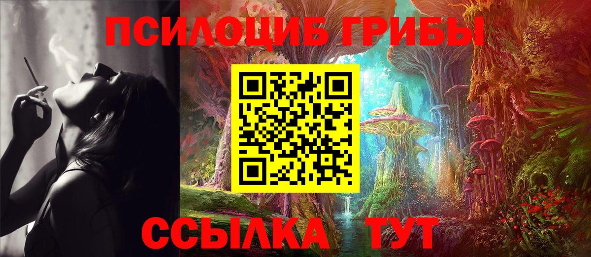 Псилоцибиновые грибы прущие грибы  Вход с VPN  Псилоцибиновые грибы Psilocybine cubensis  Ревда 